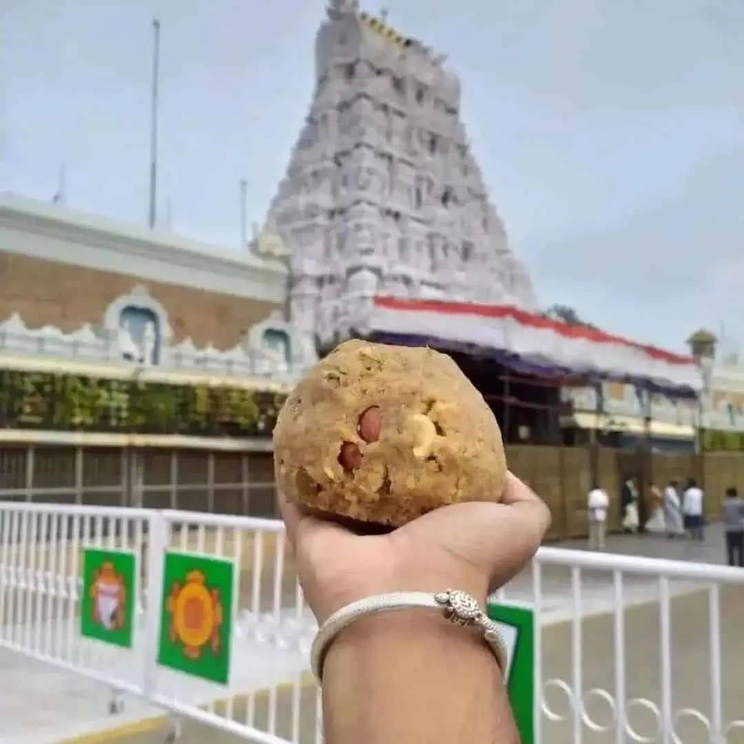 Tirumala-laddu.webp