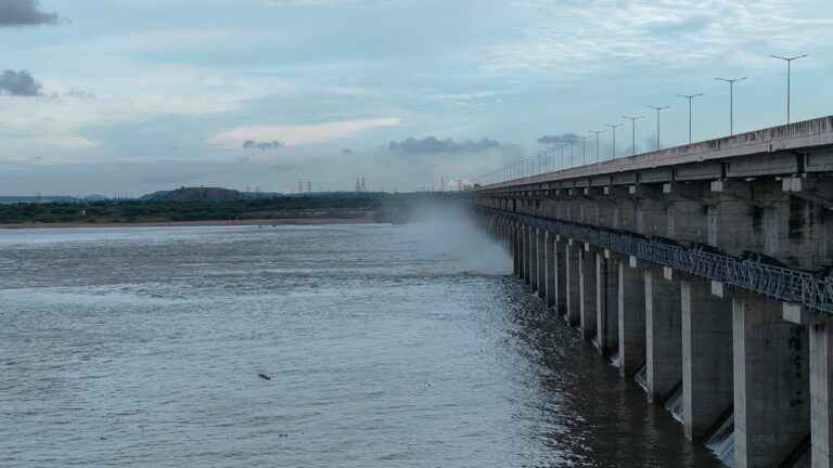 42531173-ff96-436d-b789-53c661ac2a58