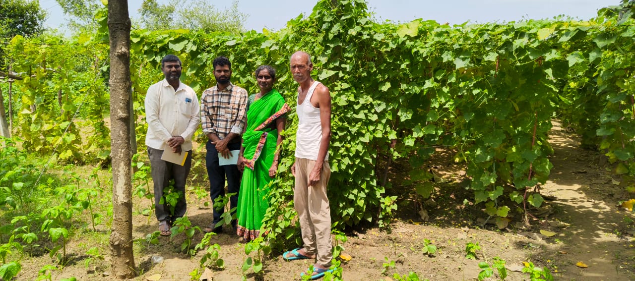 NABARD official inspects watershed works in Arinda village of Manthani ...