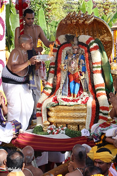 CHINNA-SESHA-VAHANAM1