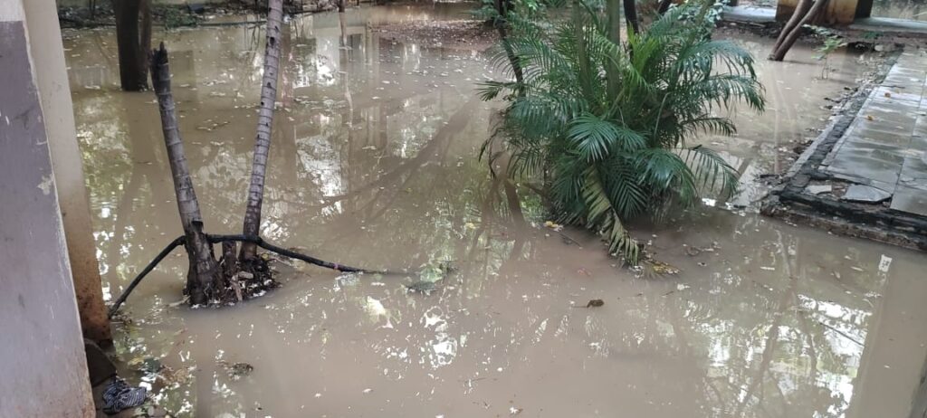 3b185247-8410-40f7-ab26-506480d03f10