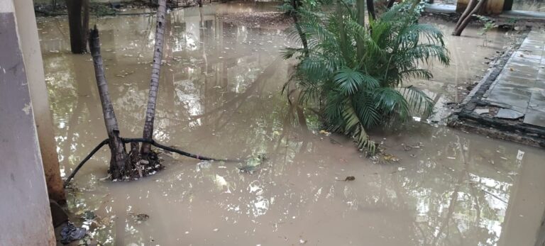 3b185247-8410-40f7-ab26-506480d03f10