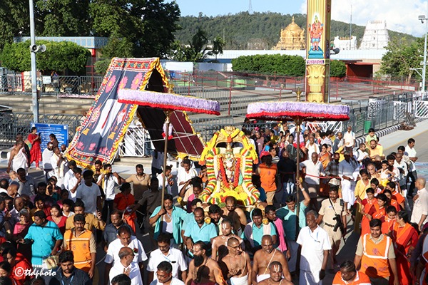 BAGH-SAVARI2