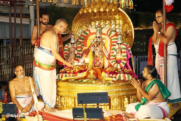 PEDDASESHA-VAHANAM7