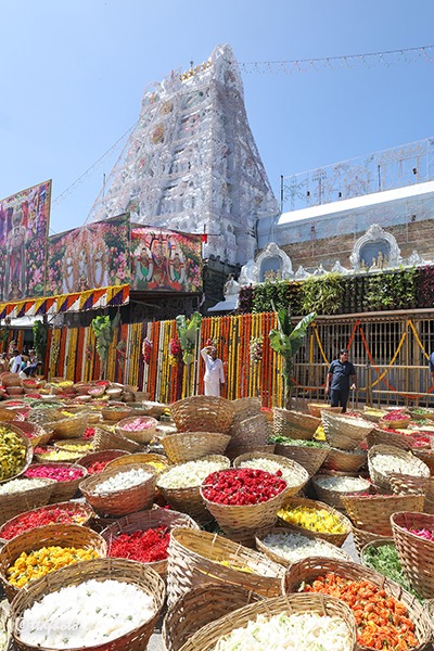 PROCESSION-OF-FLOWERS4