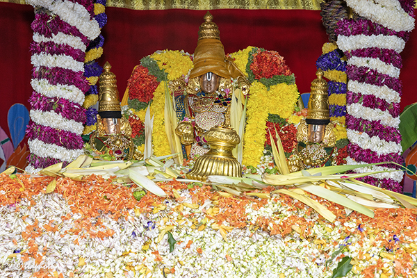 SRIVARI-ANNUAL-PUSHPA-YAGAM15