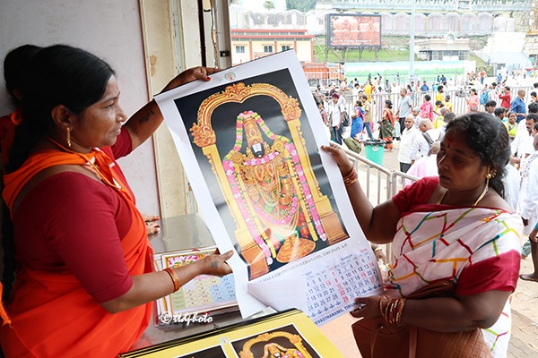 TTD-CALENDARS-AND-DIARYS-14