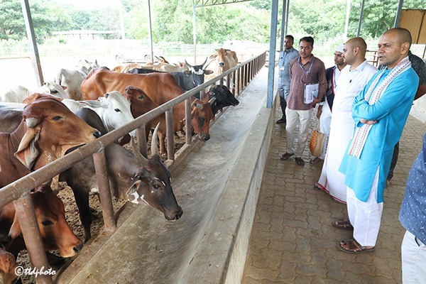 EO-TTD-INSPECTION-IN-SV-GO-SAMRAKSHANA-SHALA