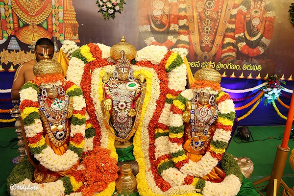 KARTHIKA-DEEPOTSAVAM1