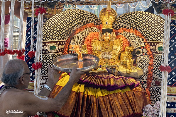 MUTHYAPU-PANDIRI-VAHANAM3