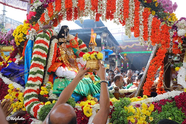 PALLAKI-UTSAVAM-03