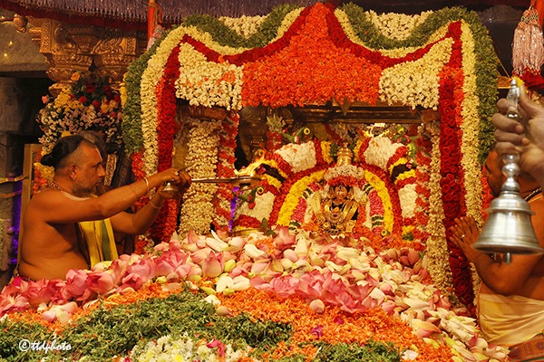 SRI-PAT-PUSHPA-YAGAM-4