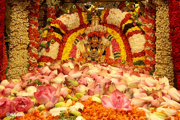 SRI-PAT-PUSHPA-YAGAM-5