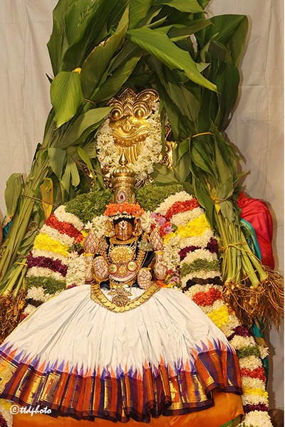 SRI-PAT-VASANTHOTSAVAM-11