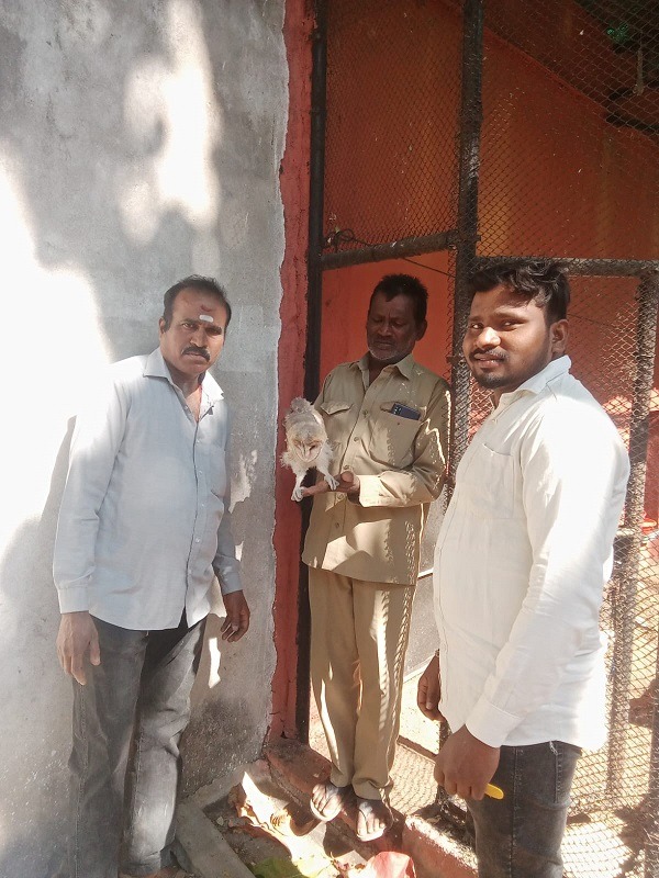 47a17e6c-9d64-4688-b068-cc5789da6582