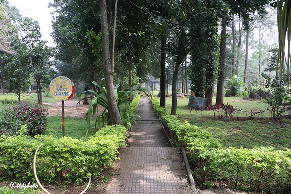 PLANTION-OF-AYURVEDIC-PLANTS-IN-TML.4jpg