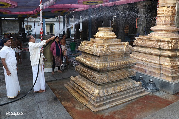 SRI-GT-KOILALWARTIRUMANJANAM4