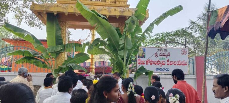 cb955e72-85a9-44f5-9a4e-95c68cc5e256