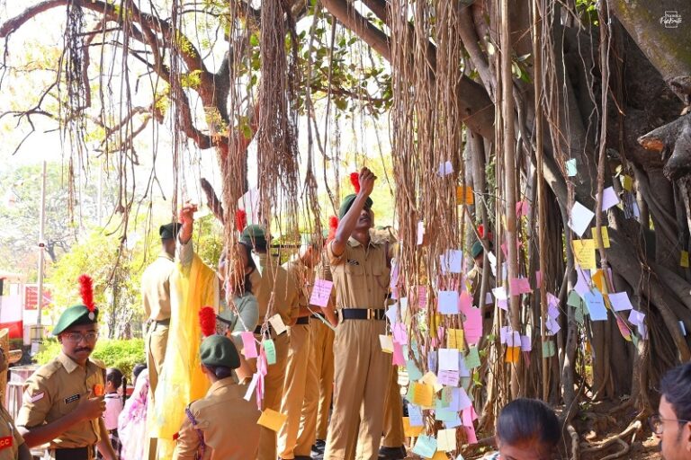 e51ac714-9d69-4143-8a1e-1c7fedc7a827