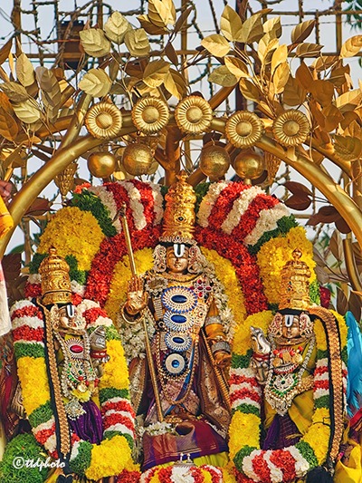 KALPAVRIKSHA-VAHANAM-AT-JUBILEE-HILLS-SV-TEMPLE