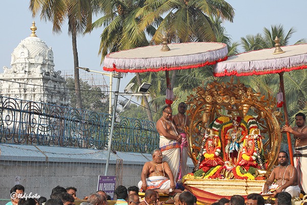 KALPAVRIKSHA-VAHANAM5