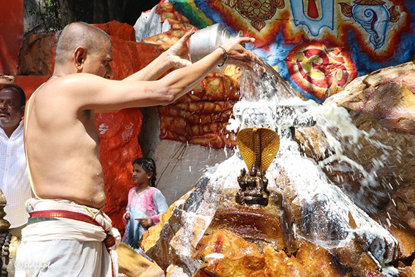 KSHETRAPALAKA-ABISEKHAM-AT-GOGARBHA-THEERTHAM9
