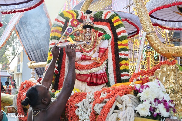 PALLAKI-UTHSAVAM-03