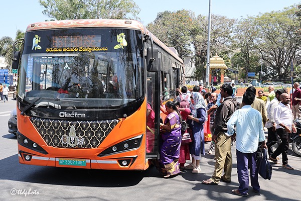 SPL-STORY-FREE-BUS-05