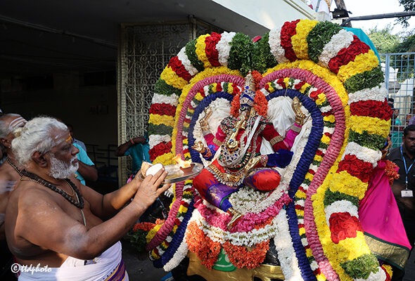 SRI-KT-PROCESSION-OF-MOOSHIKA-VAHANAM
