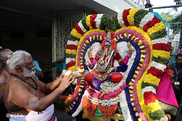 SRI-KT-PROCESSION-OF-MOOSHIKA-VAHANAM
