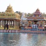 TRIAL-RUN-OF-FLOAT-7