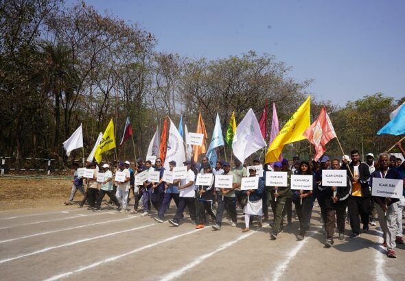 WhatsApp Image 2026-02-13 at 5.57.39 PM