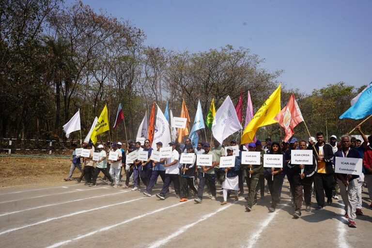 WhatsApp Image 2026-02-13 at 5.57.39 PM