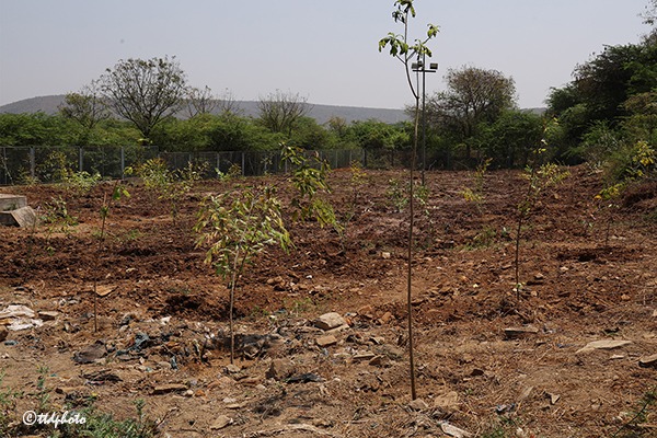 JEO-TPT-INSPECTION-OF-RAMA-THEERTHAM-HILL-IN-VONTIMITTA3