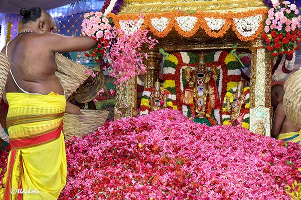 SKVST-PUSHPA-YAGAM-10