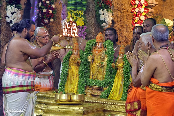 VASANTHOTSAVAM-DAY-2-IN-TIRUMALA8
