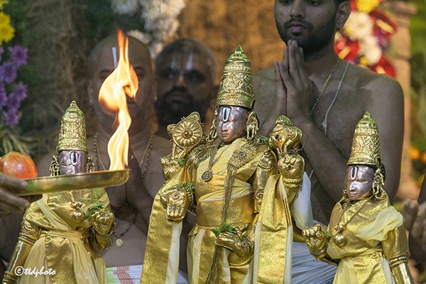 VASANTHOTSAVAM-IN-TIRUMALA6