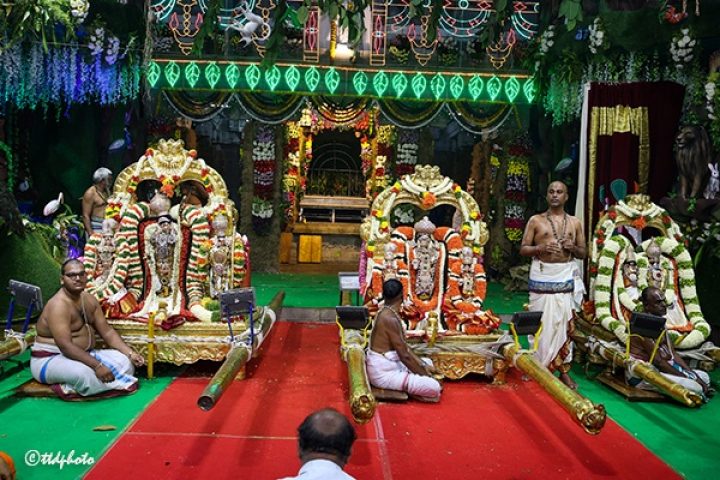 VASANTHOTSAVAM-OF-PROCESSION-5-720x480
