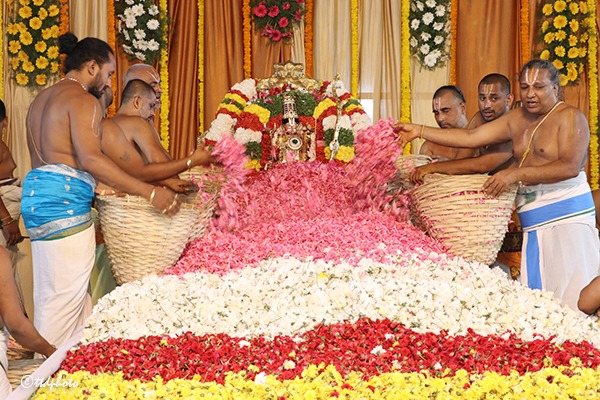 PUSHPA-YAGAM-IN-VONTIMITTA3