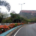 2nd-GHAT-ROADS-FLOWERS-SHOW-1