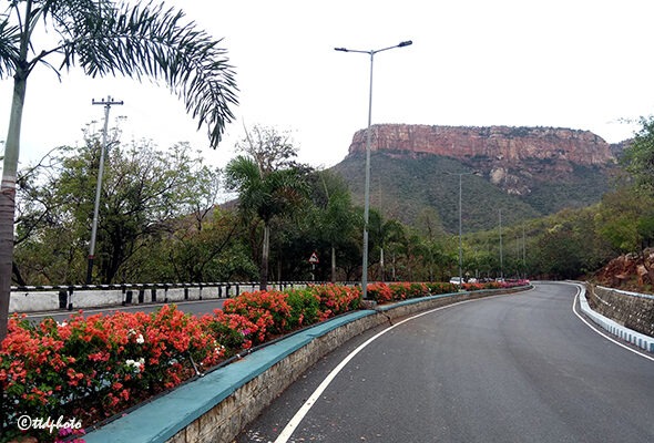 2nd-GHAT-ROADS-FLOWERS-SHOW-1