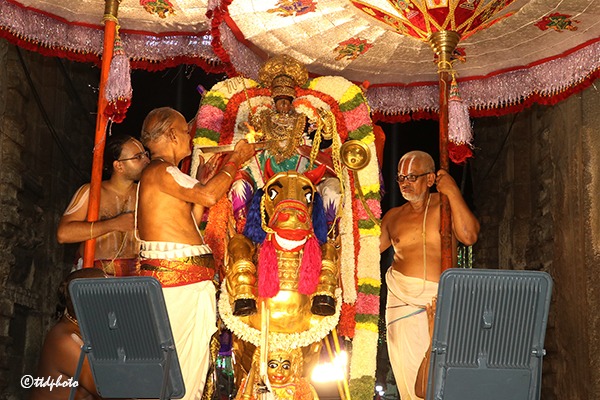 ASWA-VAHANAM-IN-SRI-GT4