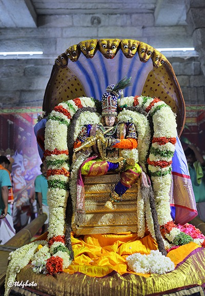 CHINNASESHA-VAHANAM-AT-NARAYANAVANAM