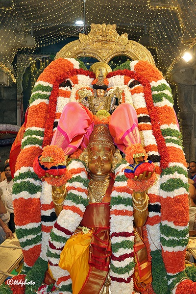 GARUDA-VAHANAM-IN-SRI-GT