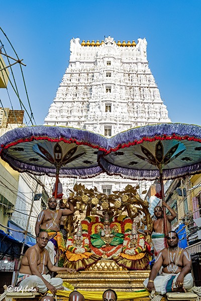 KALPAVRIKSHA-VAHANAM-IN-SRI-GT6