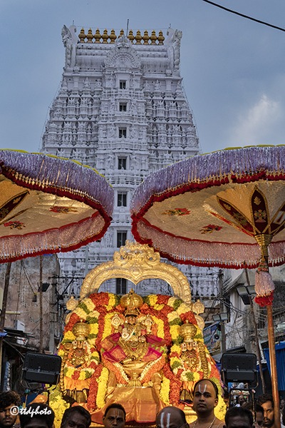 PROCESSION-OF-SRI-GOVINDARAJA-SWAMY-VARU2