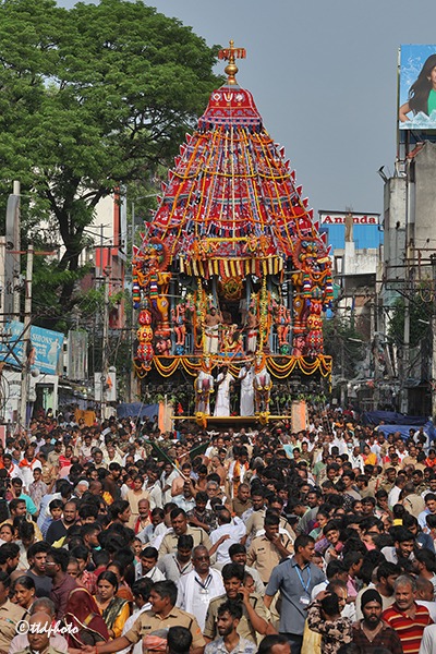 RATHOTSAVAM-IN-SRI-GT3