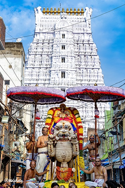 SIMHA-VAHANAM-IN-SRI-GT5