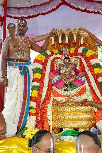 SRI-GT-CHINNASESHA-VAHANAM-7
