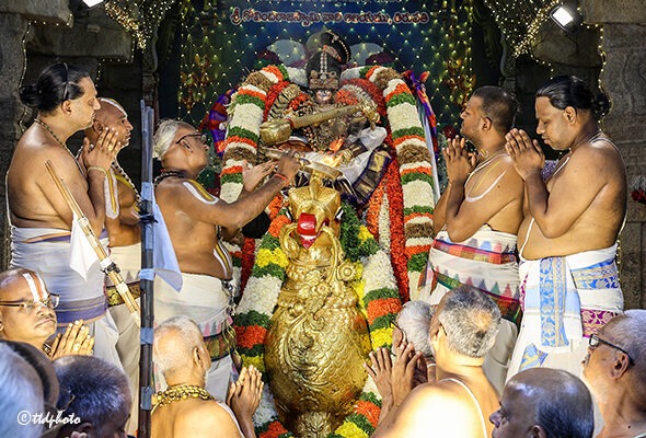 SRI-GT-HAMSA-VAHANAM-1